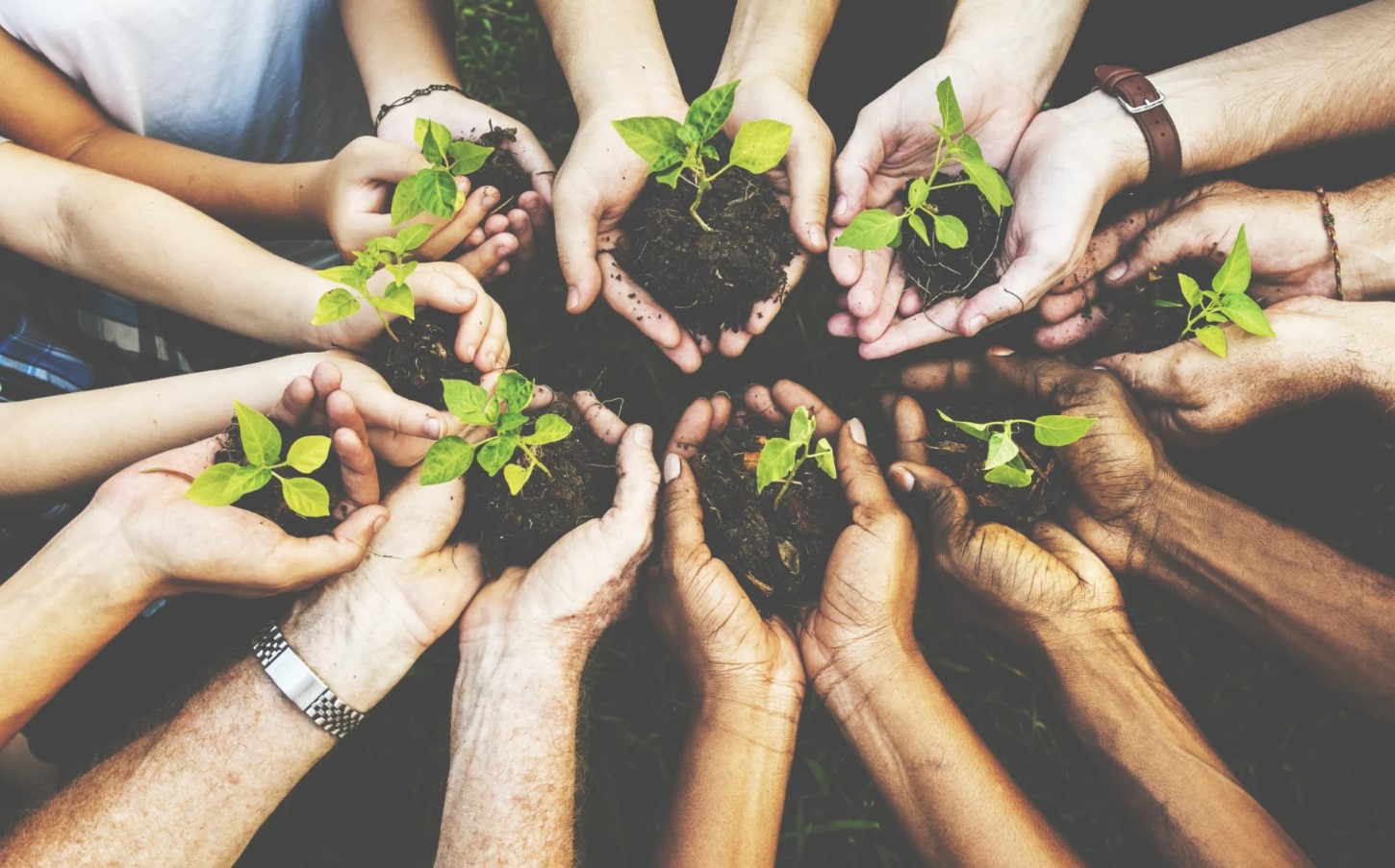Social Responsibility